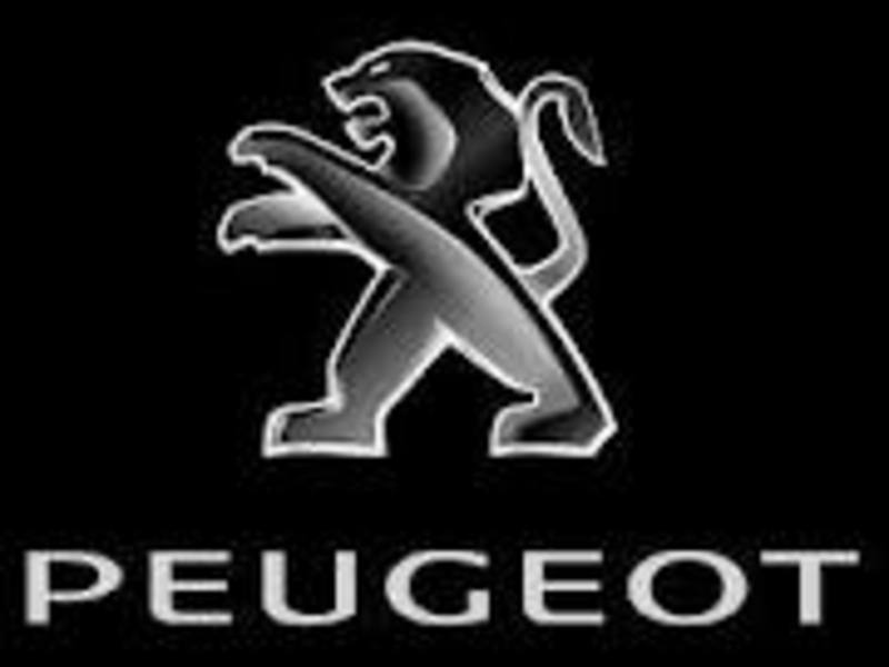 ФОТО Сигнал для Peugeot 407  Киев