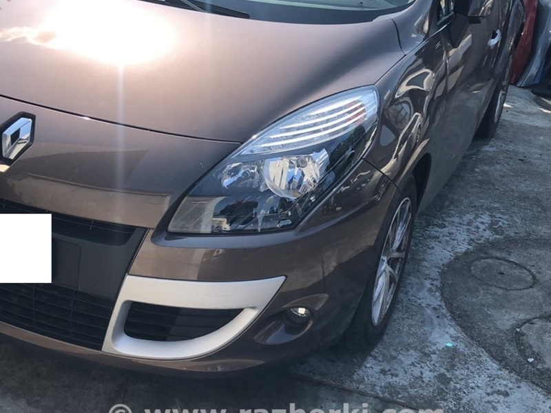 ФОТО Плафон освещения основной для Renault Scenic III  Одесса