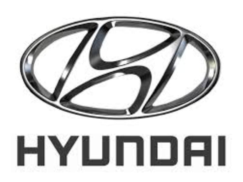 ФОТО Предохранители в ассортименте для Hyundai Elantra (все модели J1-J2-XD-XD2-UD-MD)  Киев
