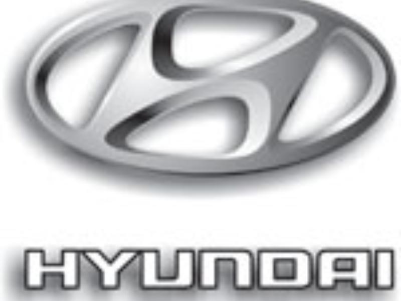 ФОТО Плафон освещения основной для Hyundai Matrix  Киев
