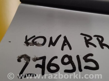 ФОТО Дверь для Hyundai Kona OS (17-23) Киев