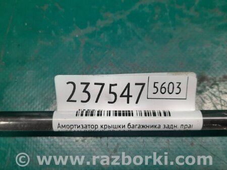 ФОТО Амортизатор крышки багажника для Nissan Rogue (08-14) Киев