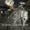 Двигатель для Ford Focus (все модели) Павлоград
