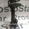 Амортизатор передний правый для Nissan Almera (03-09) Киев 5430295F0B