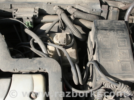 Вакуумный усилитель для Opel Vectra B (1995-2002) Киев