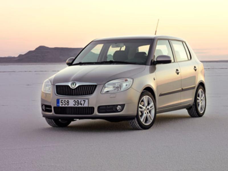 ФОТО Карта двери для Skoda Fabia New  Киев