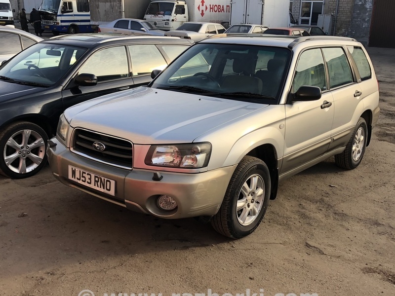 ФОТО Крыло переднее левое для Subaru Forester (2013-)  Днепр