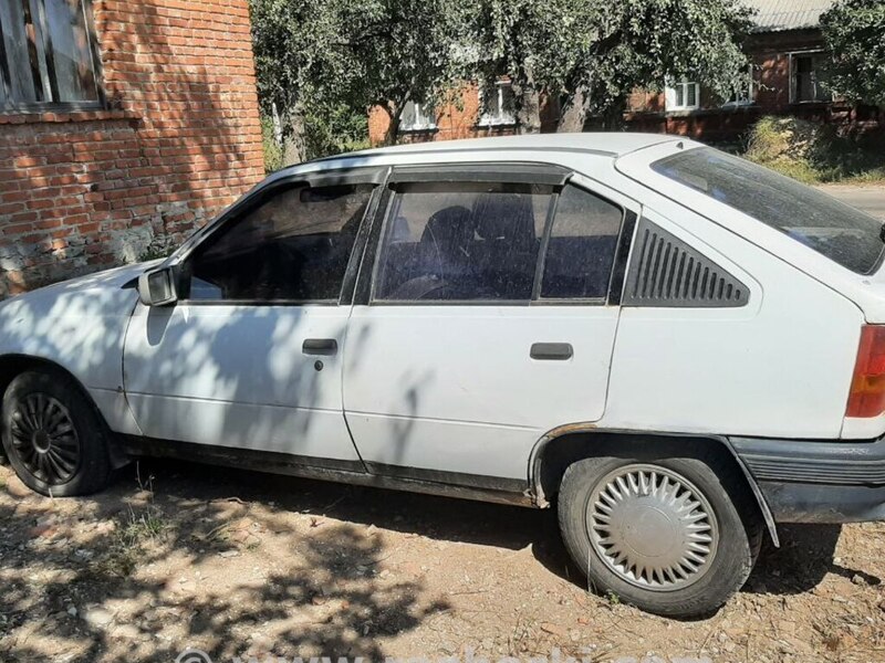 ФОТО Плафон освещения основной для Opel Kadett E  Горохів