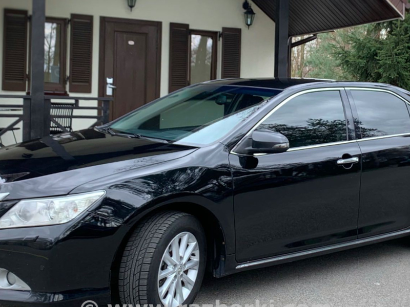ФОТО Плафон освещения основной для Toyota Camry 50 XV50 (08.2011-11.2014)  Львов