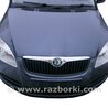 Панель передняя Skoda Fabia