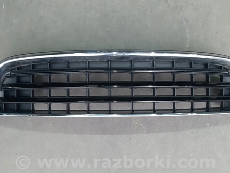 ФОТО Решетка радиатора для MINI Countryman F60 (11.2016-...) Киев