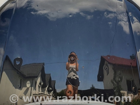 ФОТО Капот для Audi (Ауди) A4 B9 - 8W2, 8W5 (06.2015-...) Киев