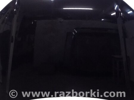 ФОТО Капот для Audi (Ауди) A4 B9 - 8W2, 8W5 (06.2015-...) Киев