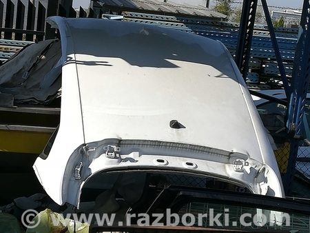 ФОТО Крыша для Renault Clio Киев