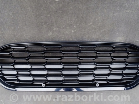 ФОТО Решетка радиатора для Ford Focus 2 (08.2004 - 07.2010) Киев