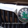 ФОТО Решетка радиатора для Skoda Octavia A5 Ковель