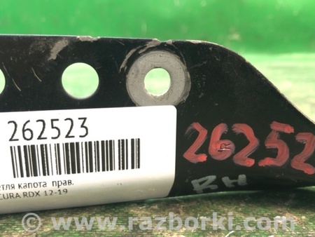 ФОТО Петля капота для Acura RDX TB3, TB4 (03.2012-12.2015) Киев