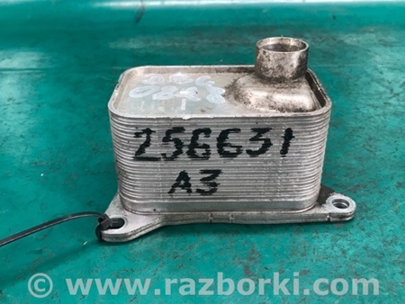 ФОТО Теплообменник двигателя для Audi (Ауди) A3 8V1, 8VA, 8V7, 8VS (03.2012-...) Киев