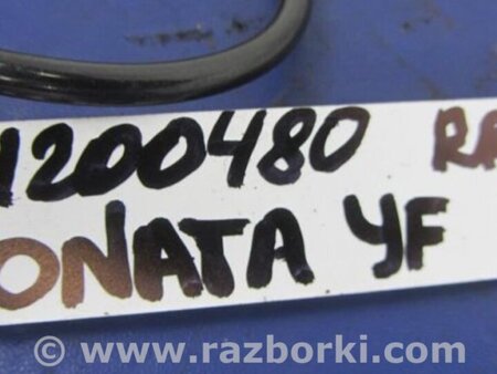 ФОТО Датчик ABS для Hyundai Sonata YF (09.2009-03.2014) Киев