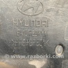 ФОТО Панель передняя для Hyundai Santa Fe CM (05-12) Киев