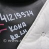 ФОТО Карта двери для Hyundai Kona OS (17-23) Киев