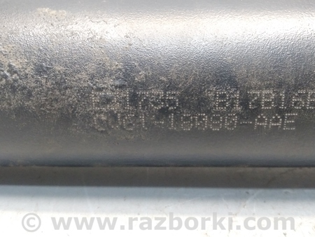ФОТО Амортизатор задний для Ford Escape 3 (01.2012-12.2018) Киев