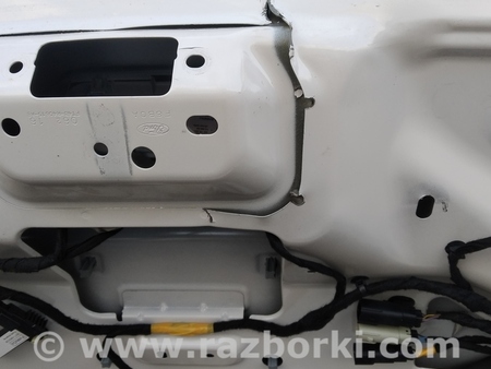 ФОТО Крышка багажника голая для Ford Edge 2 (02.2015-...) Киев