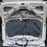 ФОТО Крышка багажника голая для Ford Edge 2 (02.2015-...) Киев