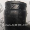 ФОТО Патрубок интеркулера для Ford Focus 1 (07.1998 - 09.2004) Киев