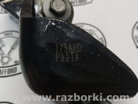 ФОТО Петля двери задняя правая для Ford Escape 3 (01.2012-12.2018) Киев