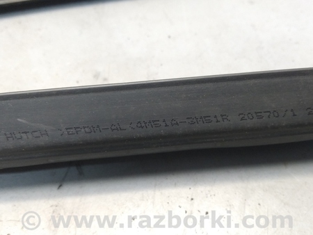 ФОТО Уплотнитель стекла двери для Ford C-Max Mk1, Mk2 Киев