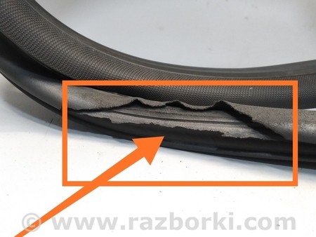ФОТО Уплотнитель двери передней левой для Ford Fiesta Mk6 (2008-2017) Киев