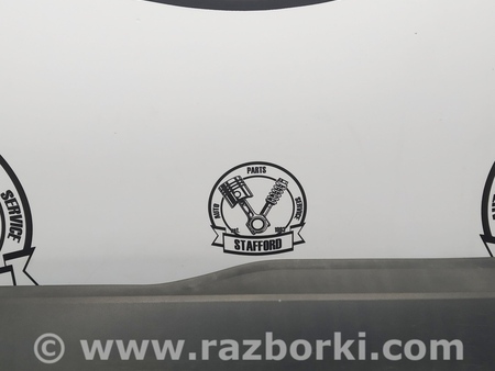 ФОТО Накладка двери задней для Ford Edge 2 (02.2015-...) Киев
