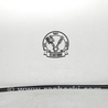 ФОТО Молдинг лобового стекла для Ford Mondeo 3 (09.2000 - 08.2007) Киев