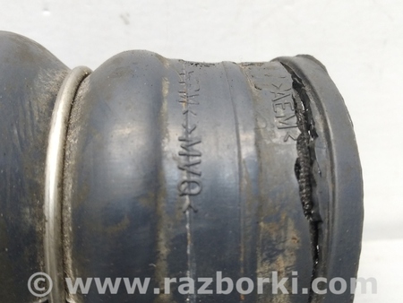 ФОТО Патрубок гофрированный интеркулера для Ford Mondeo 3 (09.2000 - 08.2007) Киев