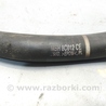ФОТО Патрубок расширительного бачка для Ford Focus 2 (08.2004 - 07.2010) Киев