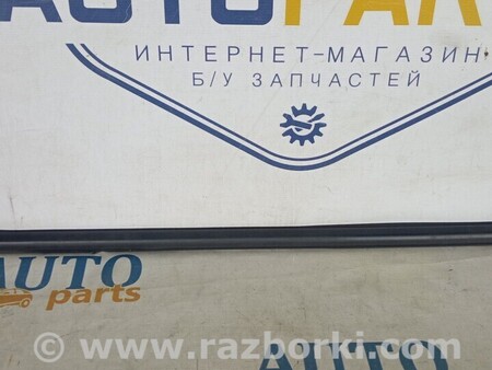 ФОТО Молдинг двери для Opel Astra K (15-21) Киев