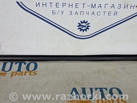ФОТО Молдинг двери для Opel Astra K (15-21) Киев