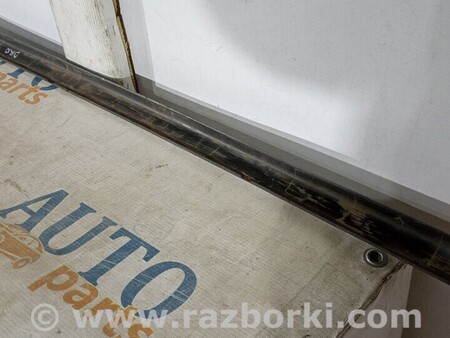 ФОТО Молдинг двери для Citroen C2 Киев