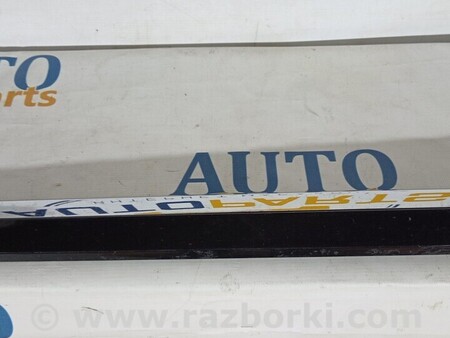 ФОТО Молдинг двери для Volkswagen Passat B8 (07.2014-...) Киев