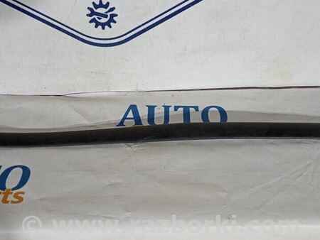 ФОТО Молдинг двери для Volkswagen Caddy 3 (2003-2020) Киев