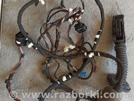 ФОТО Жгут проводов двери для BMW X3 G01 Львов
