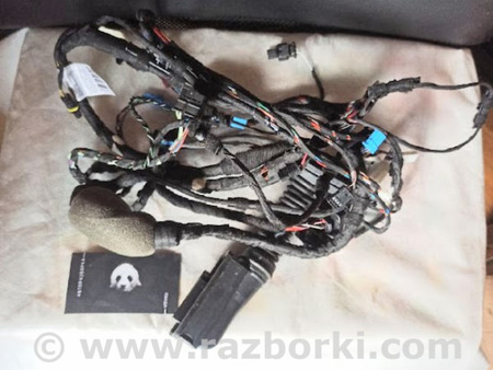 ФОТО Проводка двери для BMW X3 G01 Львов