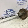 ФОТО Амортизатор передній для Suzuki Grand Vitara Киев