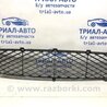 Грати бампера центральна Suzuki Grand Vitara
