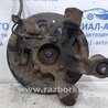 Цапфа задня ліва зі маточкою Suzuki Grand Vitara