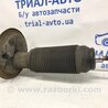 ФОТО Амортизатор передній правий для Suzuki SX4 Киев
