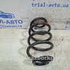 ФОТО Пружина задня для Nissan Juke (10-19) Киев