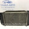 ФОТО Радіатор інтеркулера для Nissan Juke (10-19) Киев
