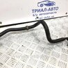 ФОТО Стабілізатор передній для Nissan Juke (10-19) Киев